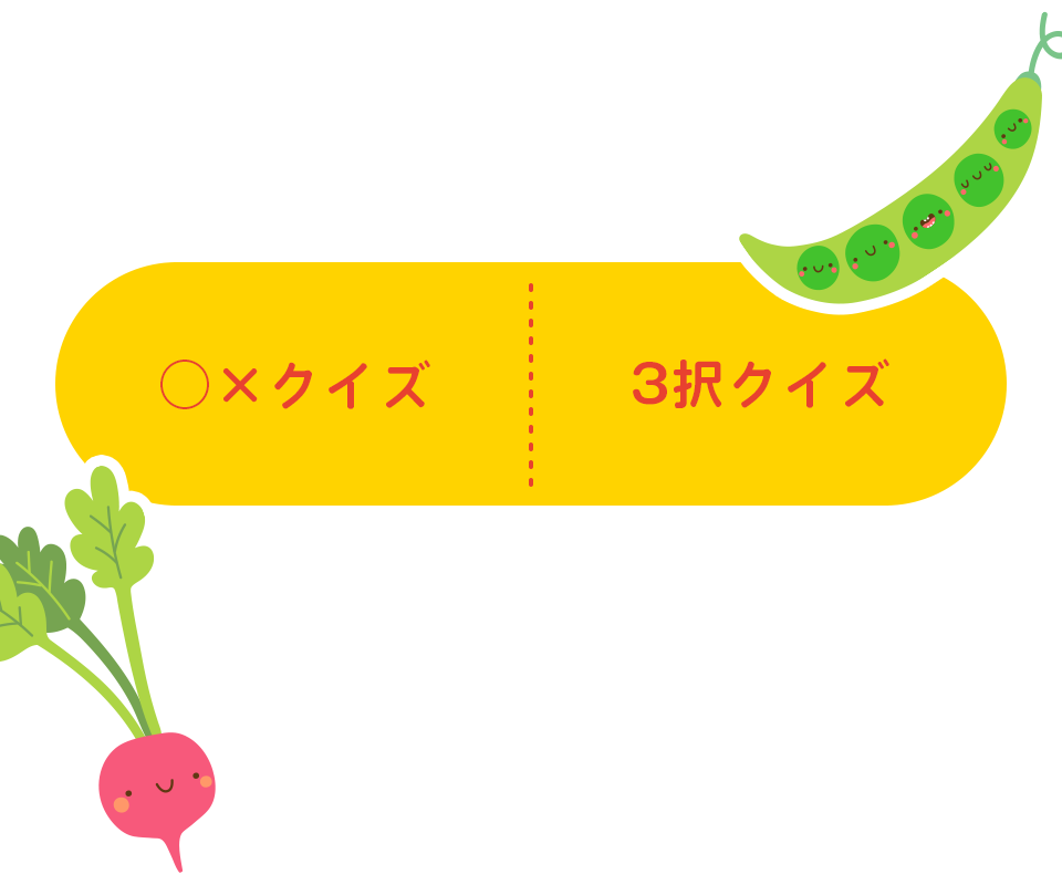 ◯×クイズと3択クイズ